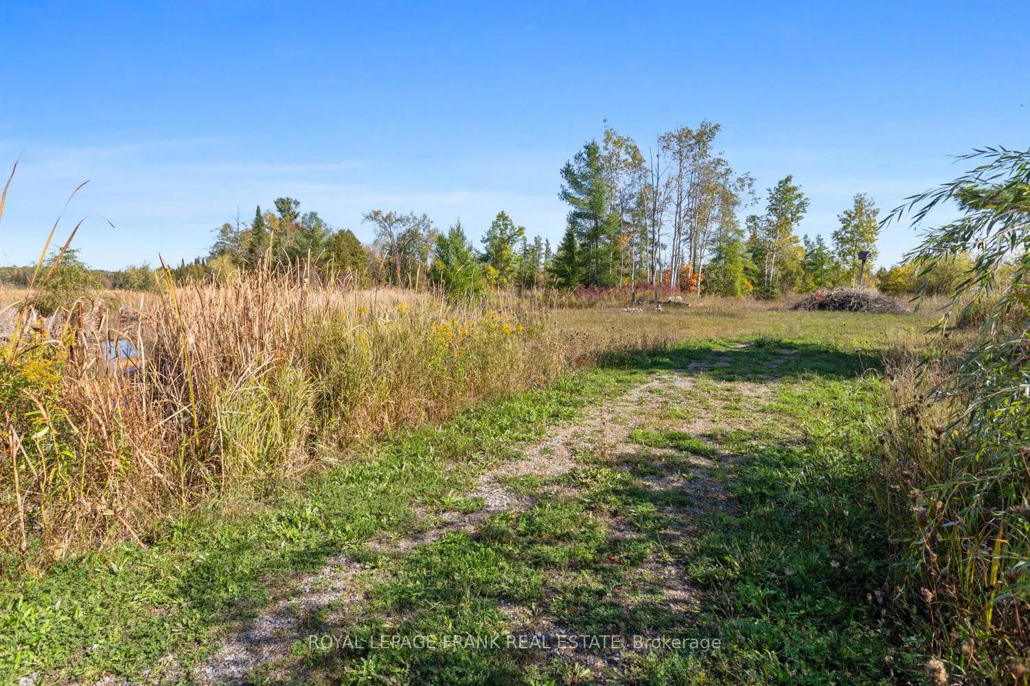 Additional image 15 of 15880 62 Highway