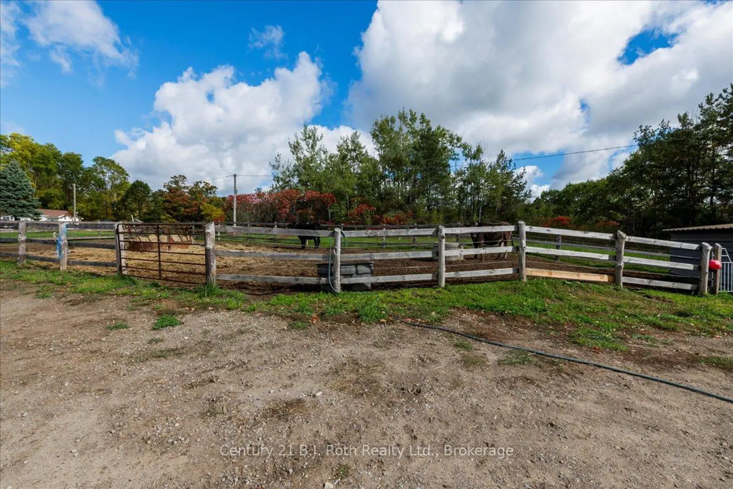 Additional image 17 of 2286 Flos 10 Road
