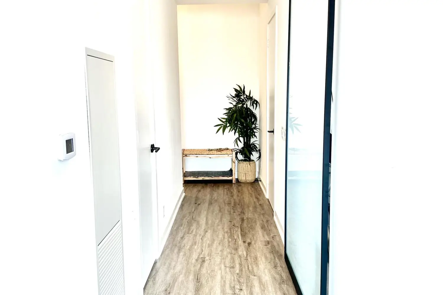 Additional image 13 of 108 Peter Street 4906