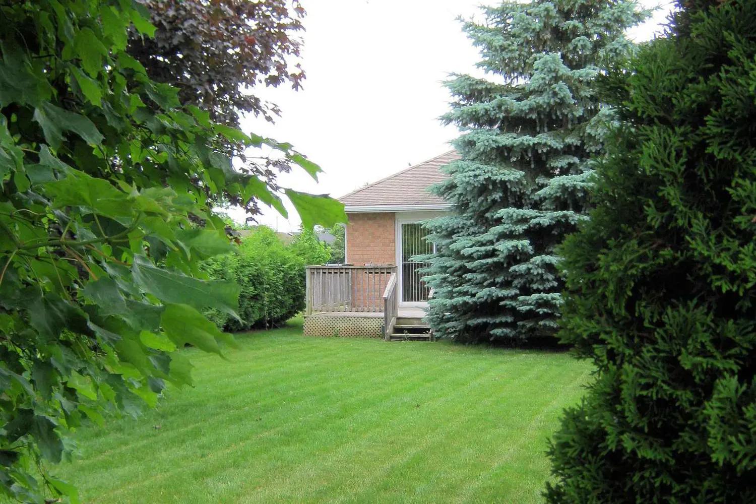 Additional image 19 of 40 Dormer Road