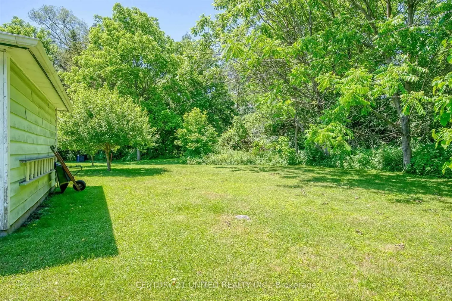 Additional image 9 of 224 Nickerson Drive