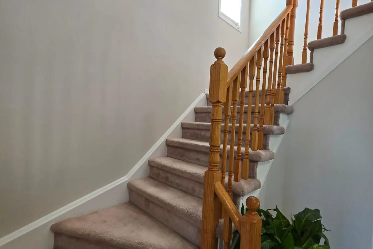 Additional image 7 of 29 Nicholson Drive
