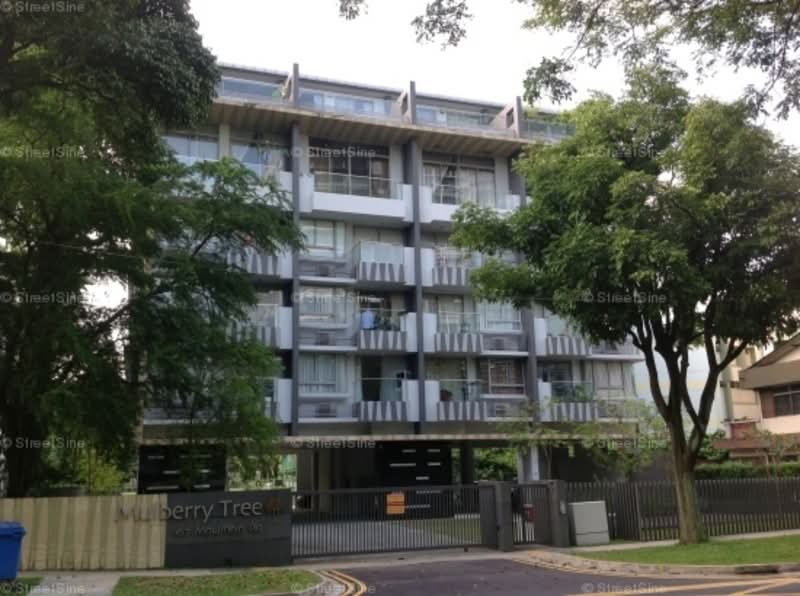 Additional image 13 of 167 Moulmein Road