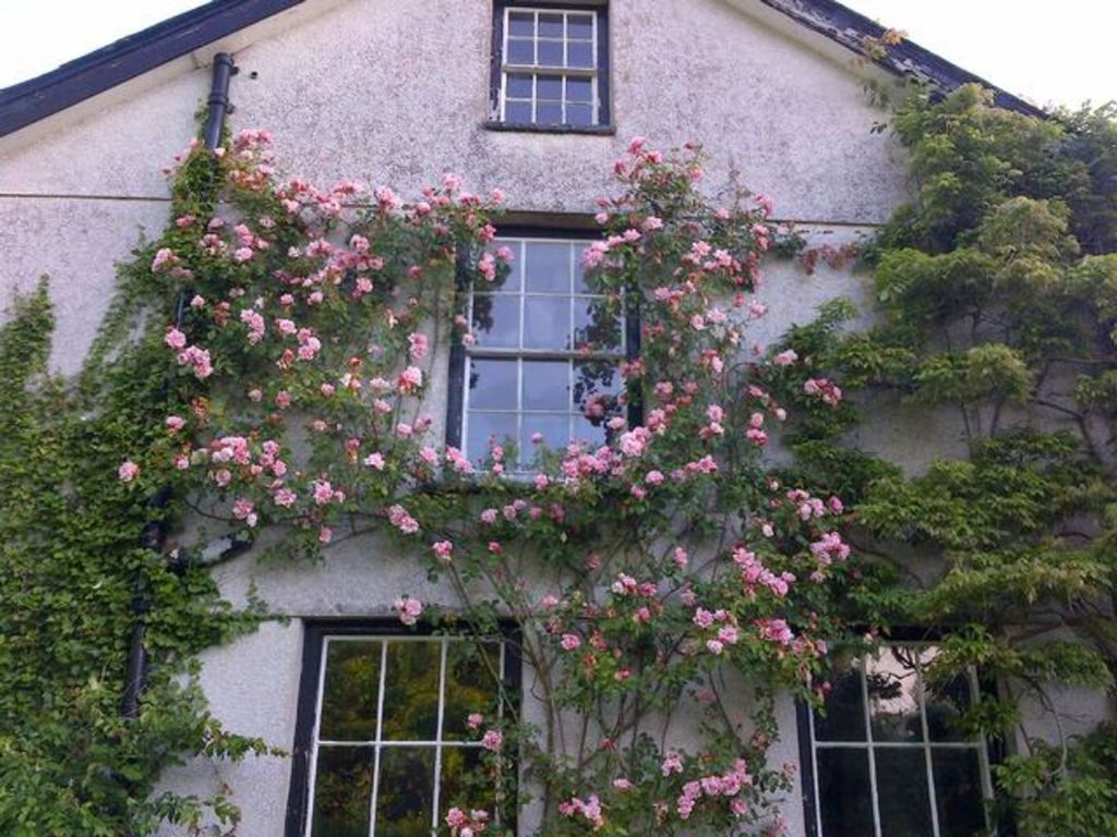 Additional image 44 of 5 bed detached house for salePlas Wenallt, Llanafan, Aberystwyth SY23