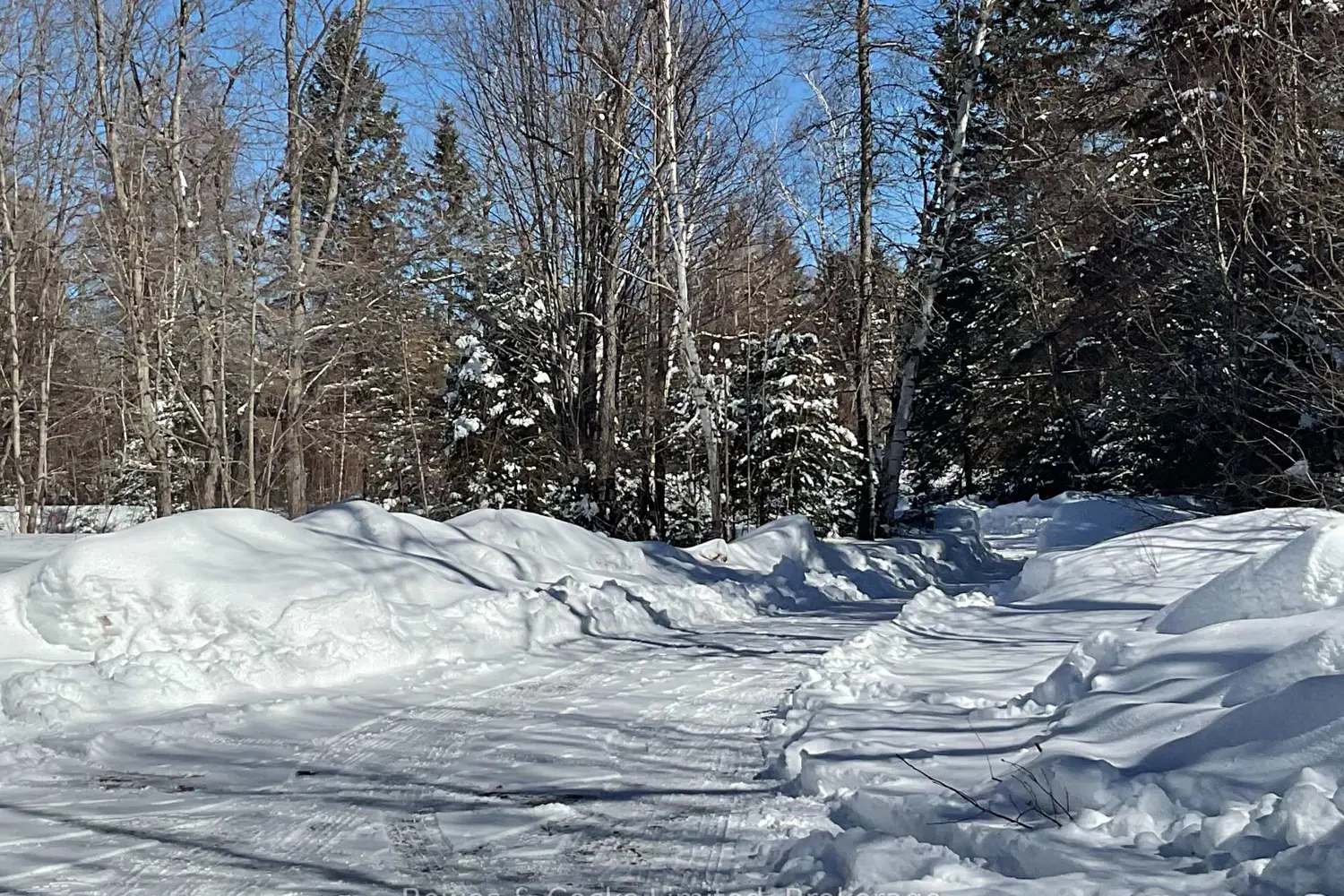 Additional image 18 of 32045 Highway 62