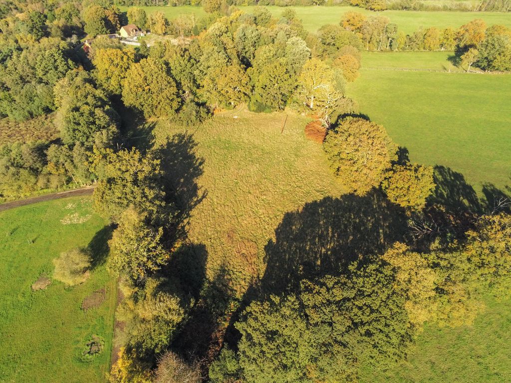 Additional image 20 of 4 bed detached bungalow for saleHoney Hill, Wokingham RG40