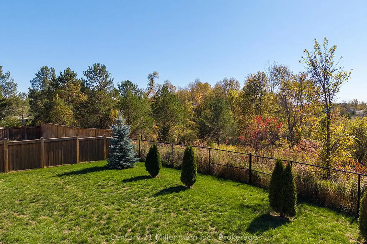 Additional image 11 of 204 Lia Drive