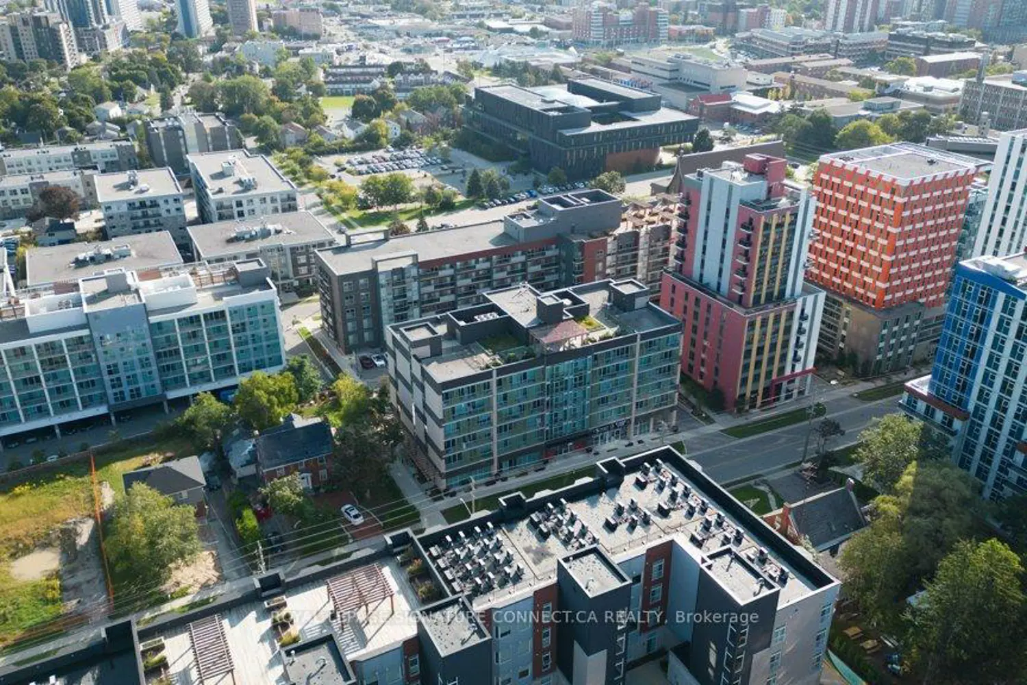 Additional image 4 of 250 Albert Street 705