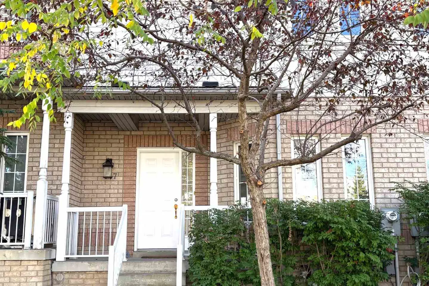 447 Hollandview Trail