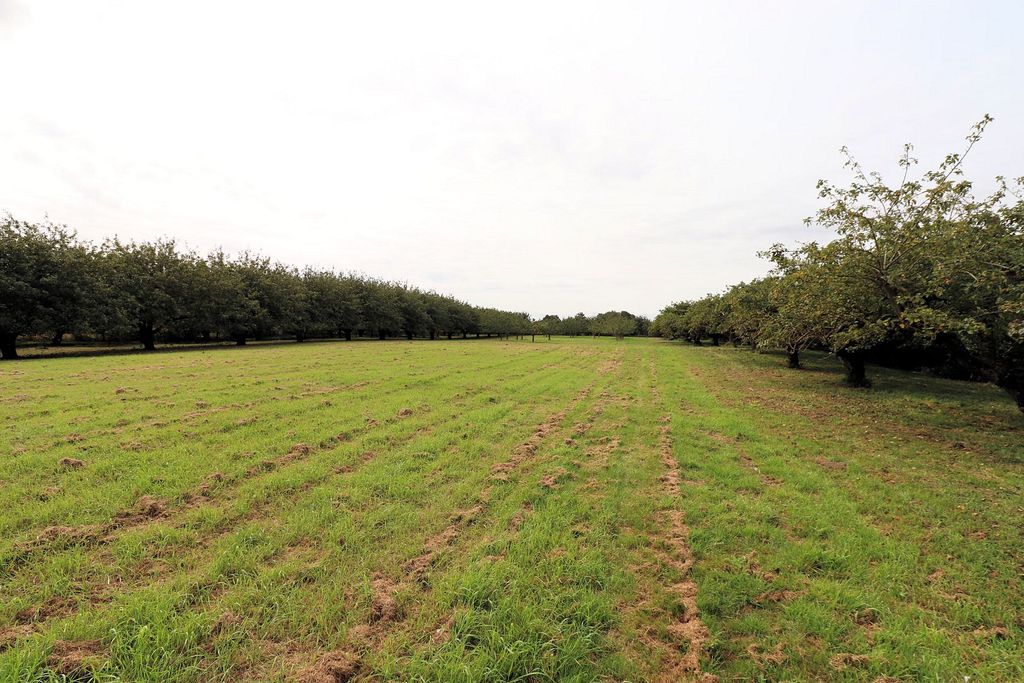 Additional image 17 of 3 bed detached house for saleRedmoor Lane, Wisbech PE14