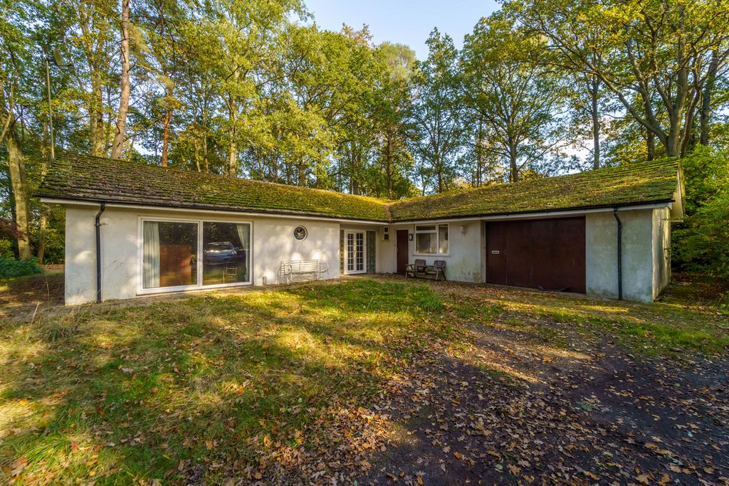 Additional image 14 of 4 bed detached bungalow for saleHoney Hill, Wokingham RG40