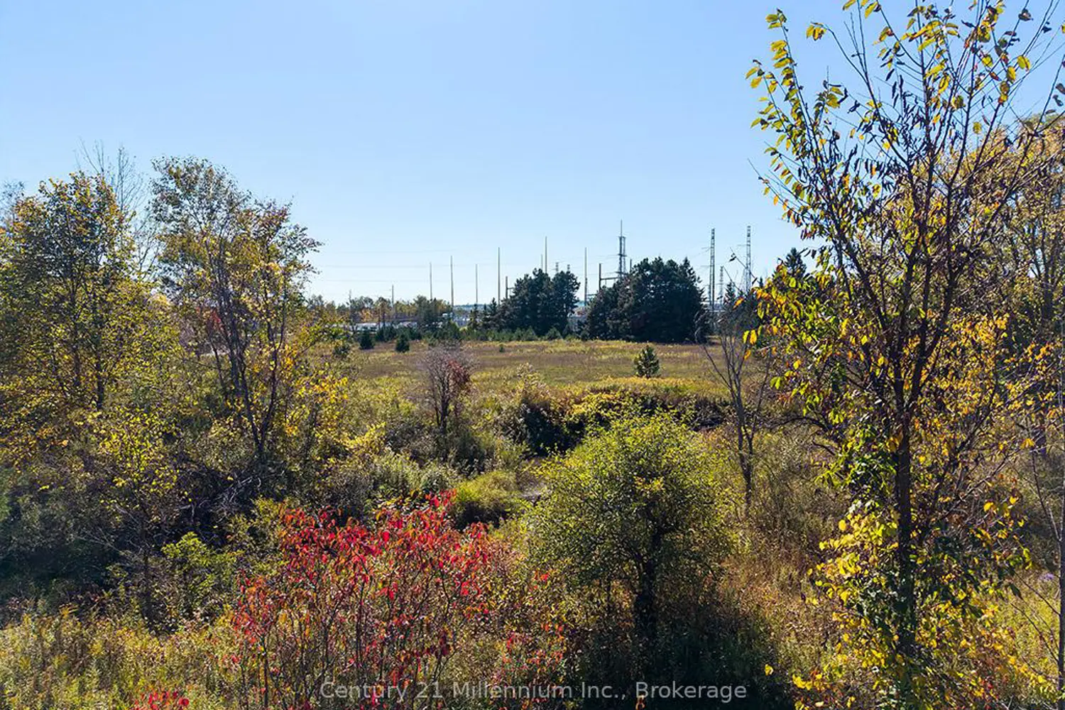 Additional image 12 of 204 Lia Drive