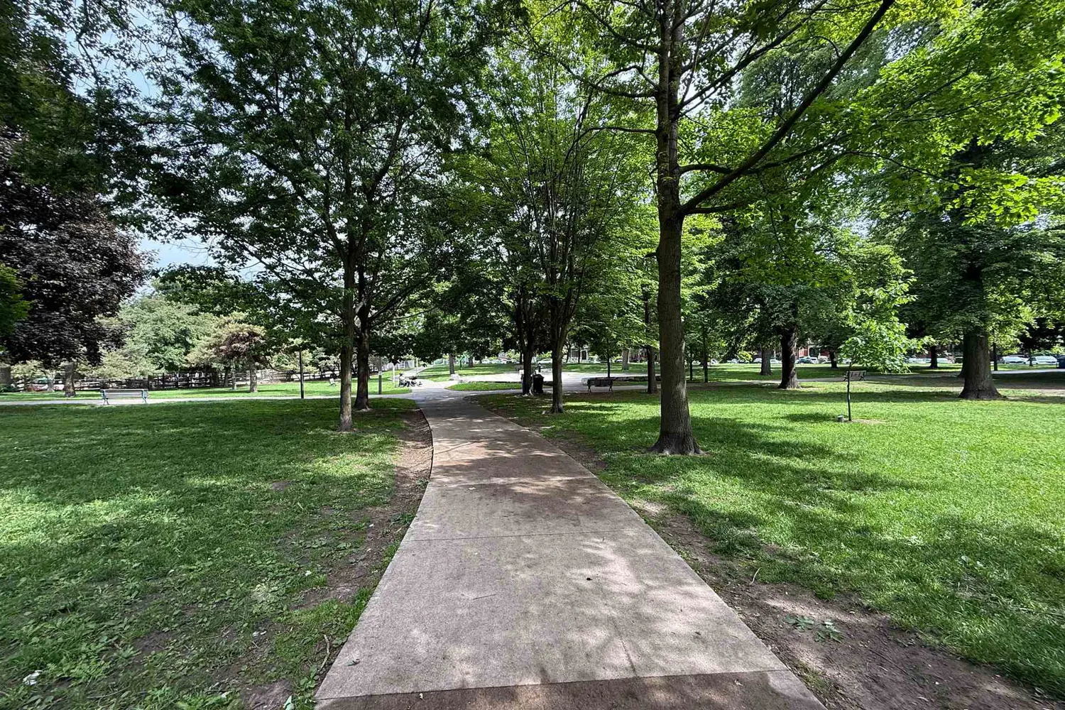 Additional image 14 of 412 Wellesley Street