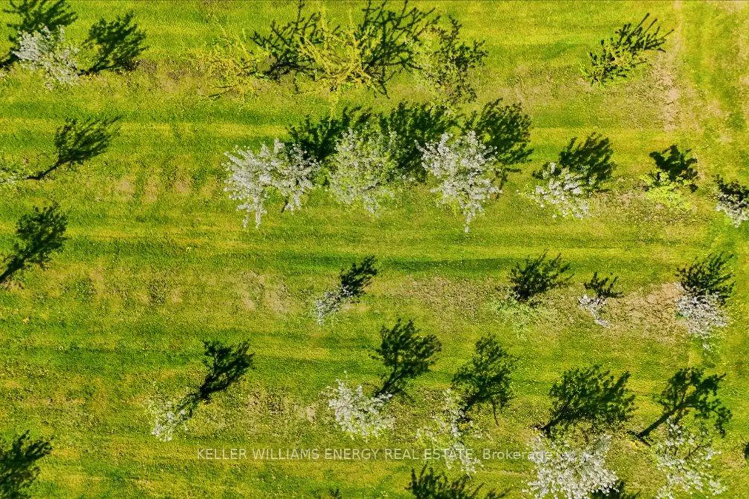 Additional image 19 of 2263 Hwy 2