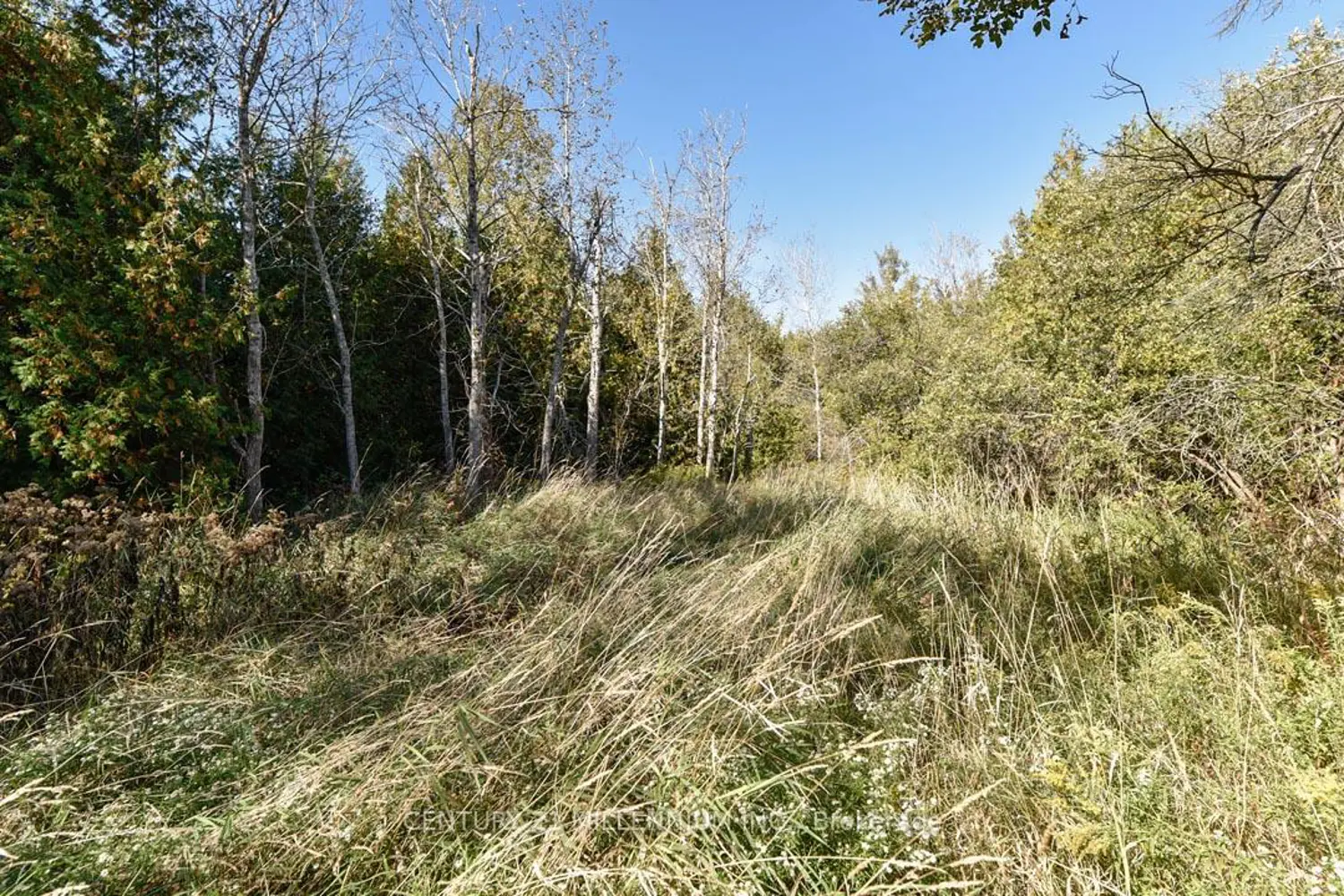 Additional image 16 of 19976 Kennedy Road