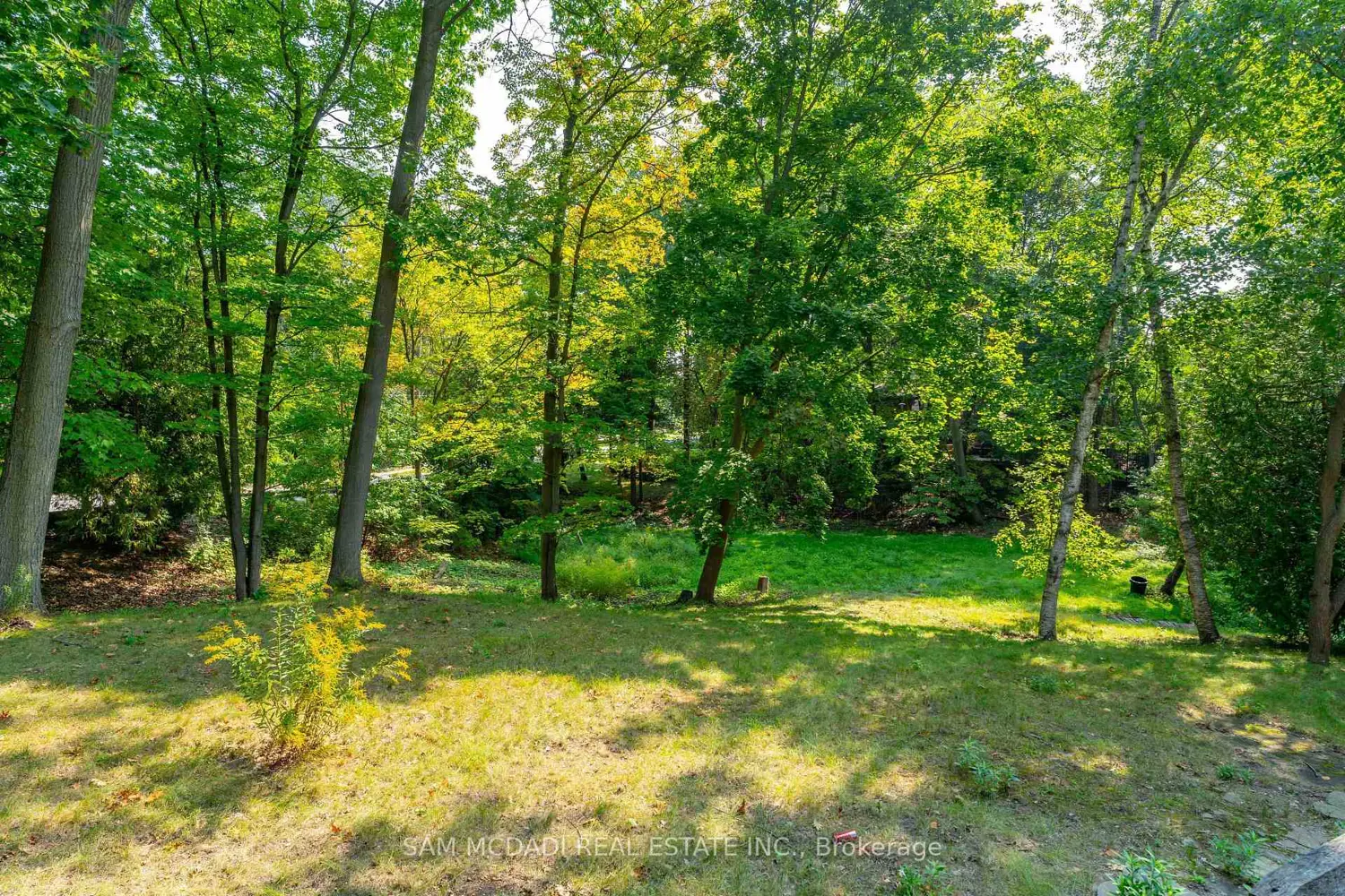 Additional image 19 of 1322 Birchview Drive