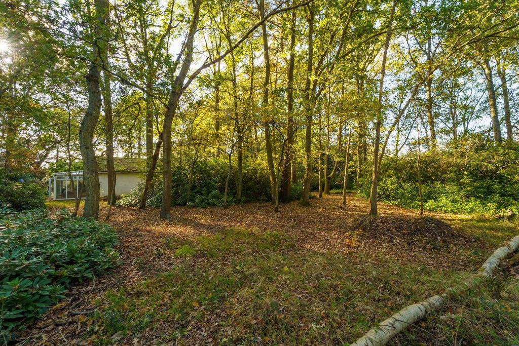 Additional image 5 of 4 bed detached bungalow for saleHoney Hill, Wokingham RG40