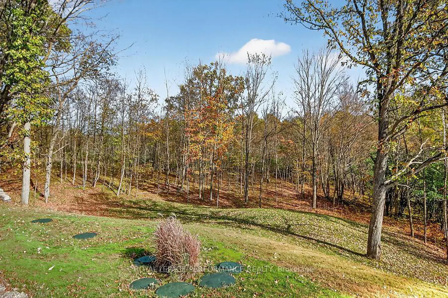 Additional image 19 of 127 Ernest Way