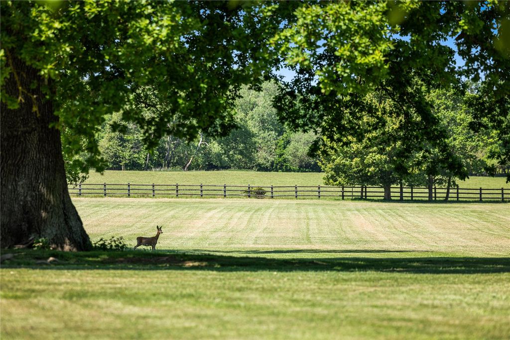 Additional image 21 of 8 bed equestrian for saleBarkham Street, Barkham, Wokingham, Berkshire RG40