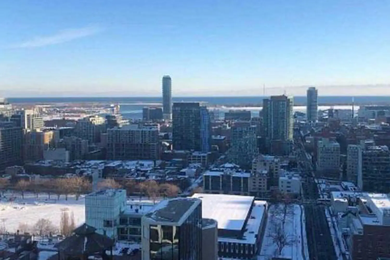 Additional image 2 of 181 Dundas Street 3010