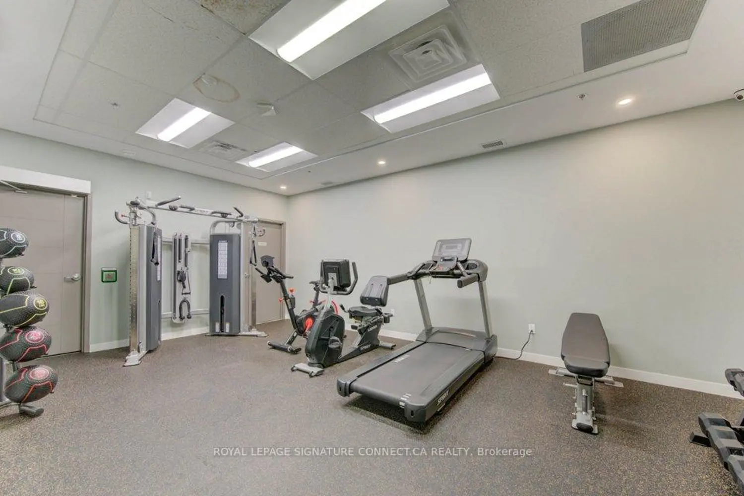 Additional image 9 of 250 Albert Street 705