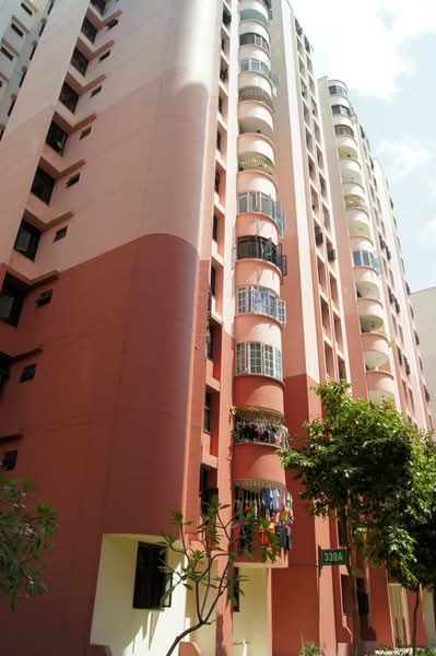 Additional image 11 of 339A Sembawang Close