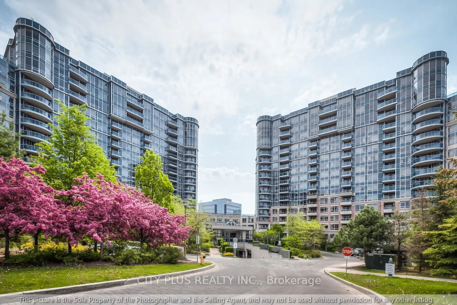 23 Cox Boulevard 1077