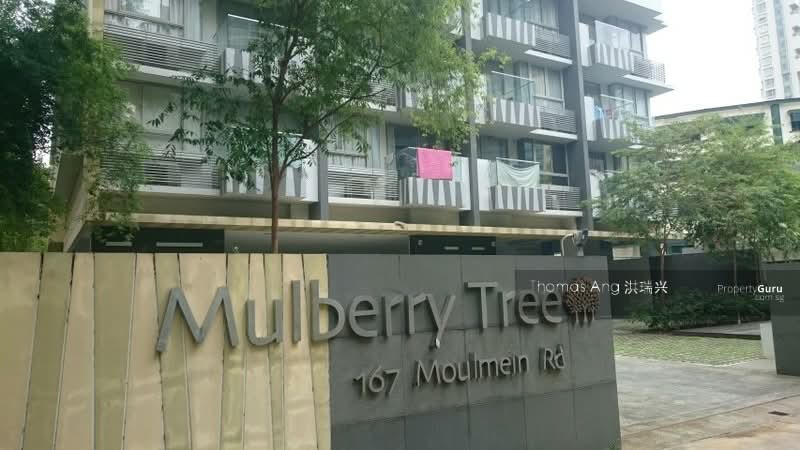 Additional image 15 of 167 Moulmein Road