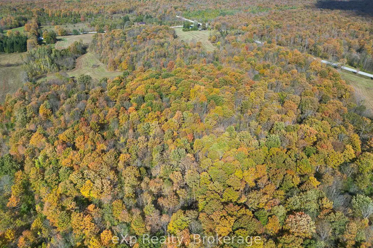 Additional image 18 of 179422 Grey Road 17