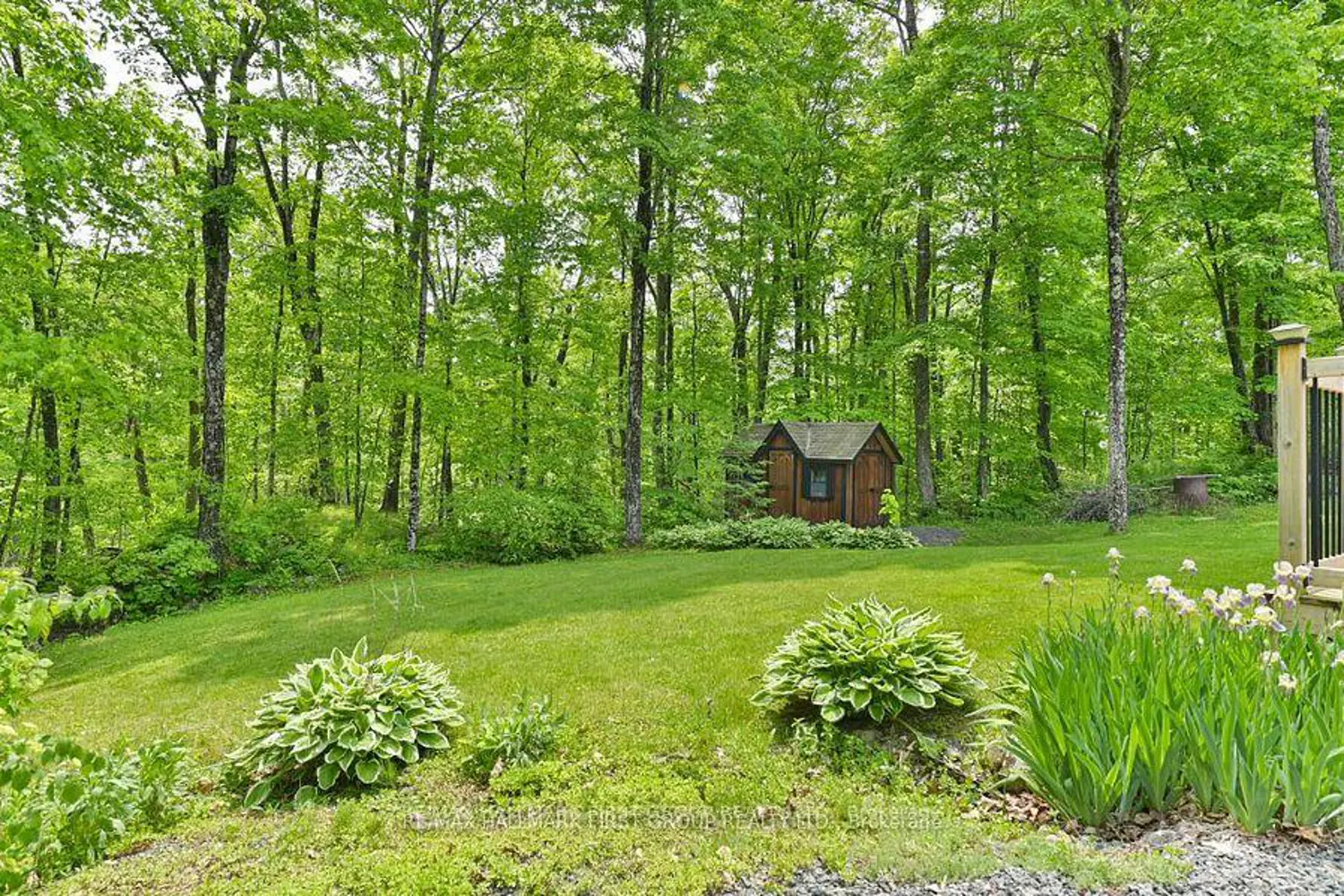 Additional image 9 of 1571 Cordova Road