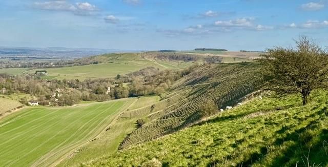 Additional image 23 of 2 bed semi-detached house for saleWhite Horse Valley, Bratton BA13