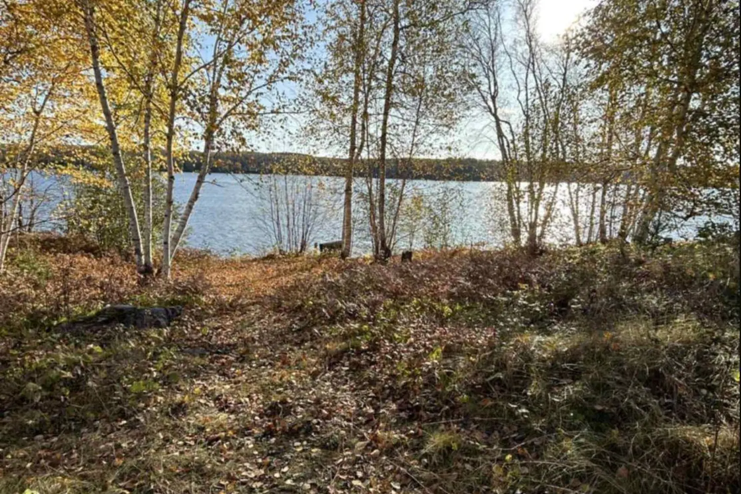 Additional image 9 of Lot 2 Mattagami Hill