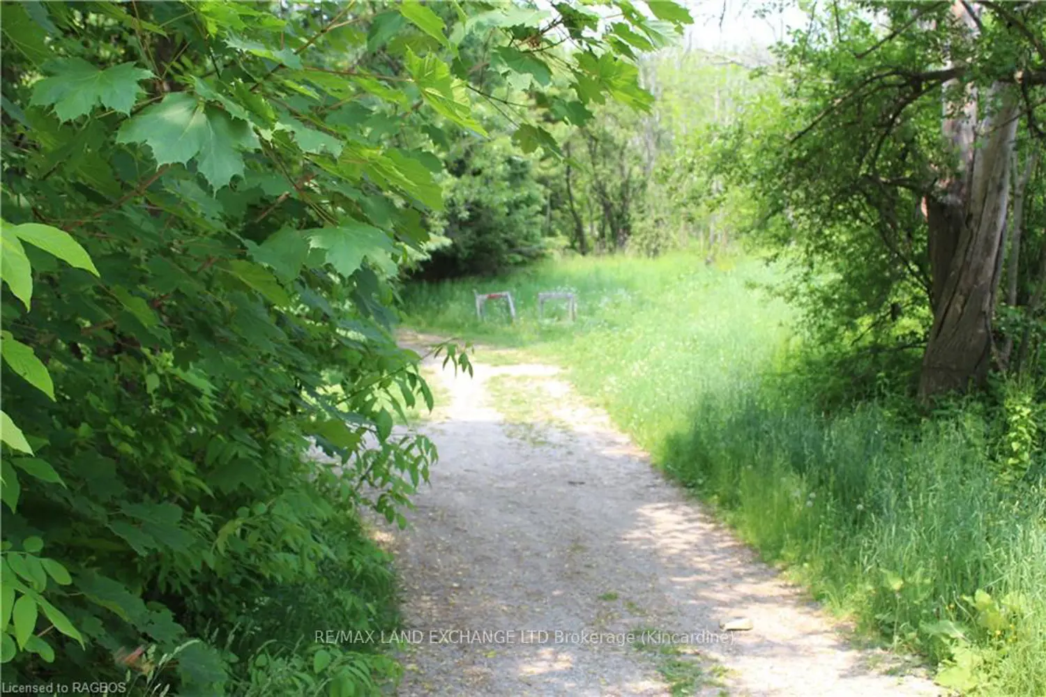 766 Campbell Avenue photo 3