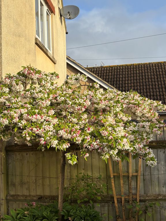 Additional image 21 of 3 bed terraced house for saleHigh Road, Ashton Keynes, Wiltshire SN6
