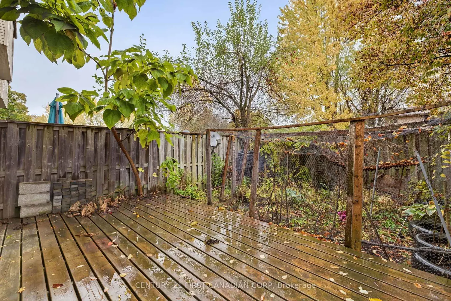 Additional image 14 of 636 Wilkins Street 636