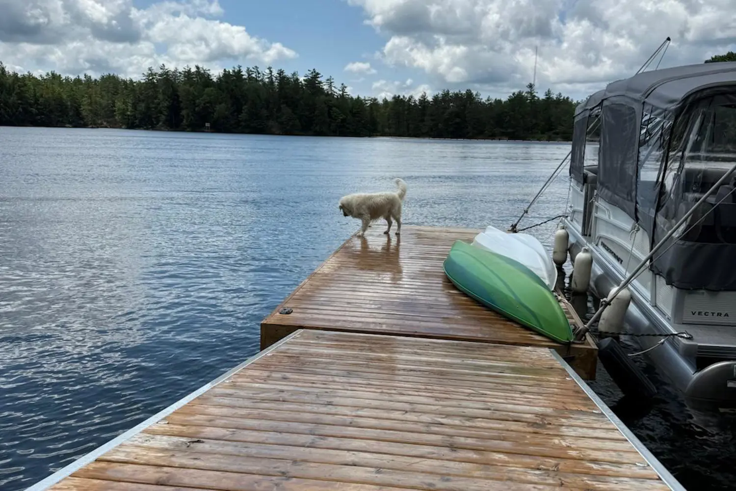 Additional image 10 of 24 Severn River
