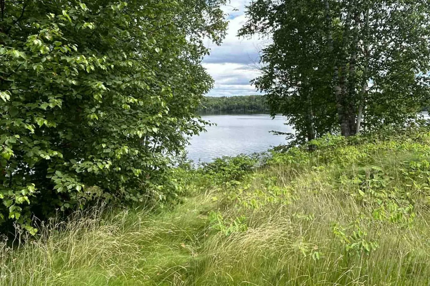 Additional image 6 of Lot 1 Mattagami Hill