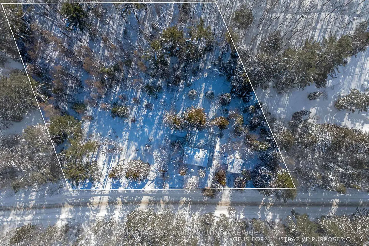 1465 Falkenburg Road photo 2