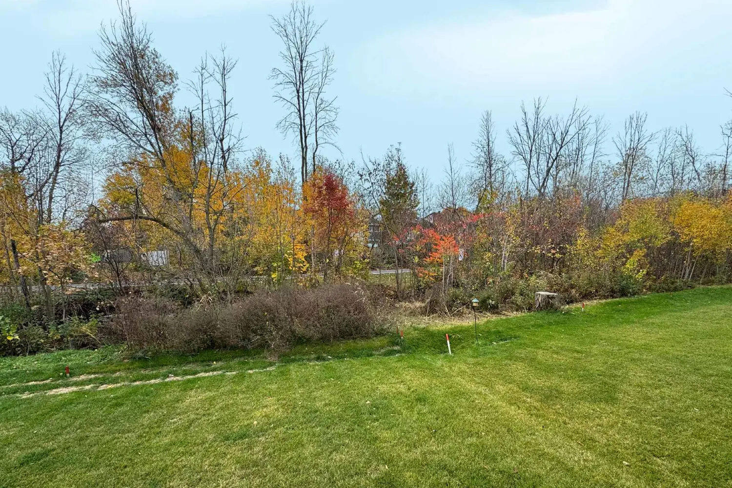 Additional image 14 of 351 Voyageur Place