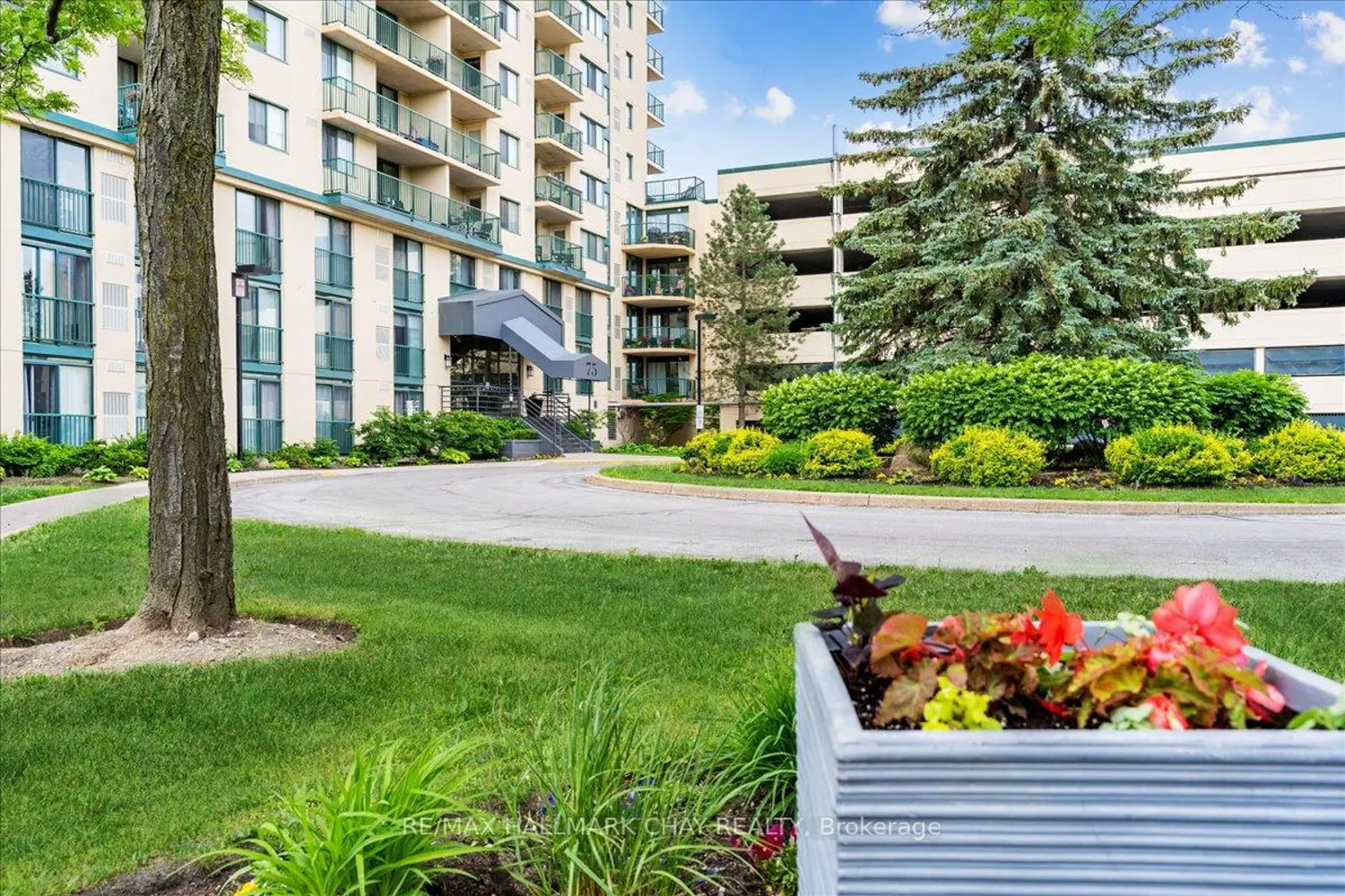 75 Ellen Street 1107