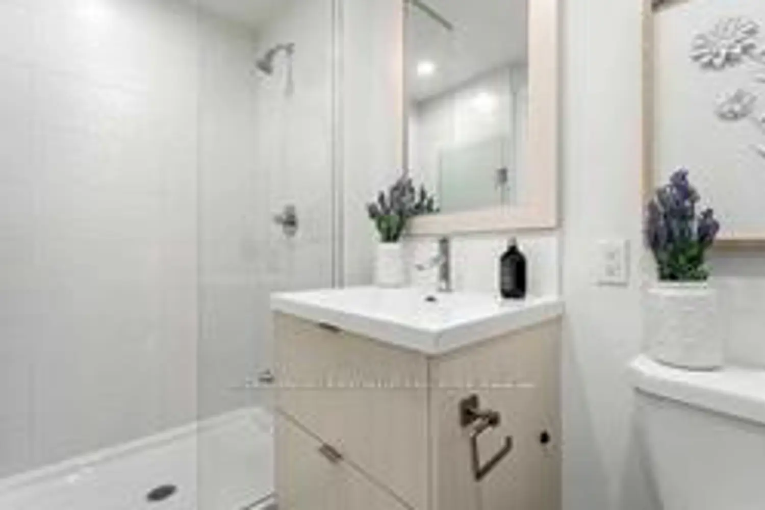 Additional image 12 of 38 Cameron Street 813