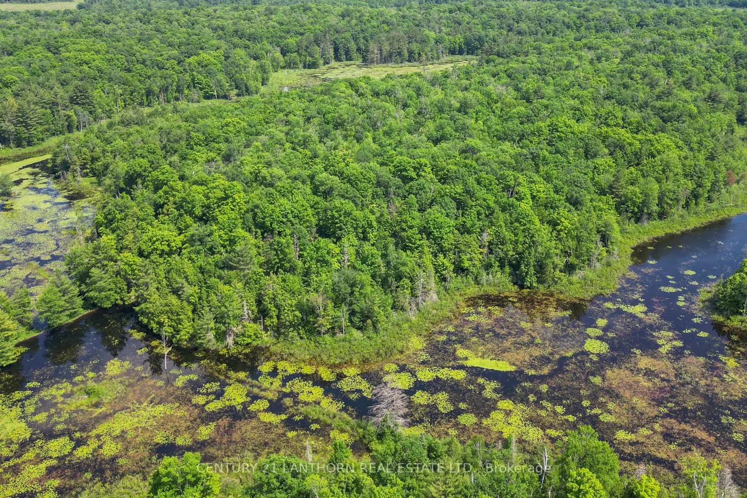 Additional image 18 of 932 Hunt Club Road