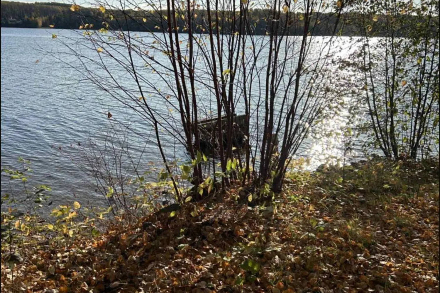 Additional image 8 of Lot 2 Mattagami Hill