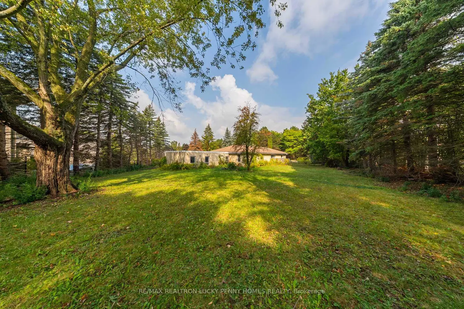 Additional image 18 of 6 Scandia Court