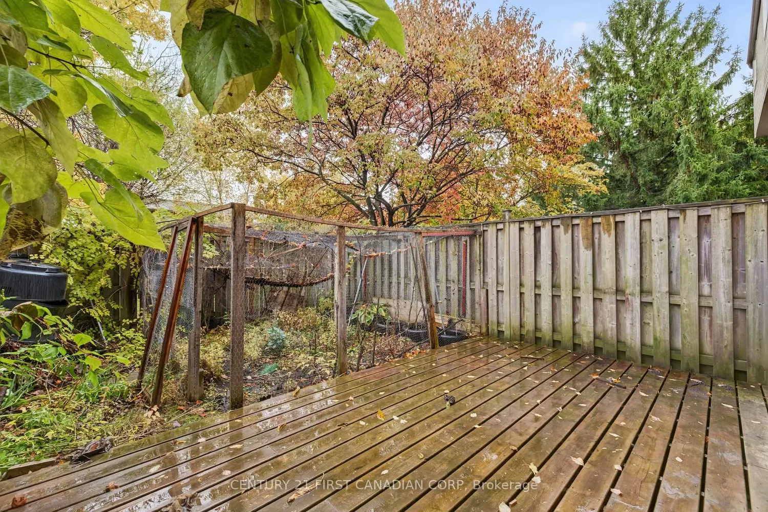 Additional image 13 of 636 Wilkins Street 636
