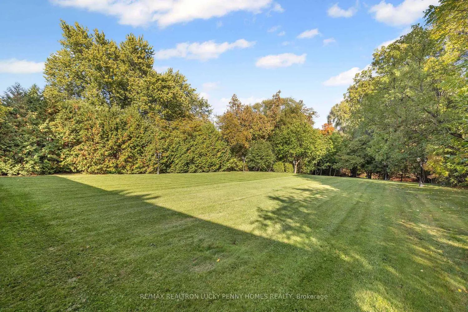 Additional image 18 of 9799 Warden Avenue