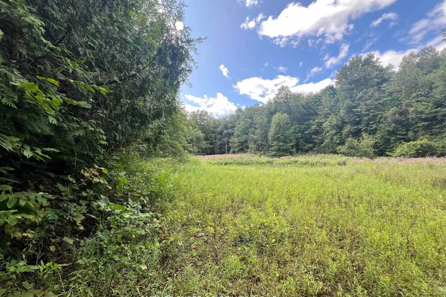 Additional image 19 of 985 Twiddy Road