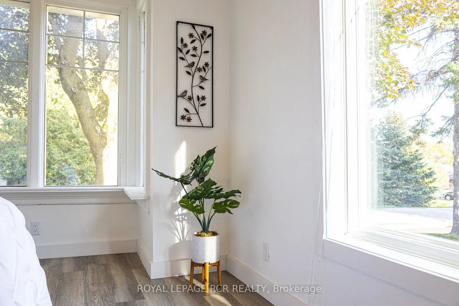 Additional image 7 of 50 Leeson Street