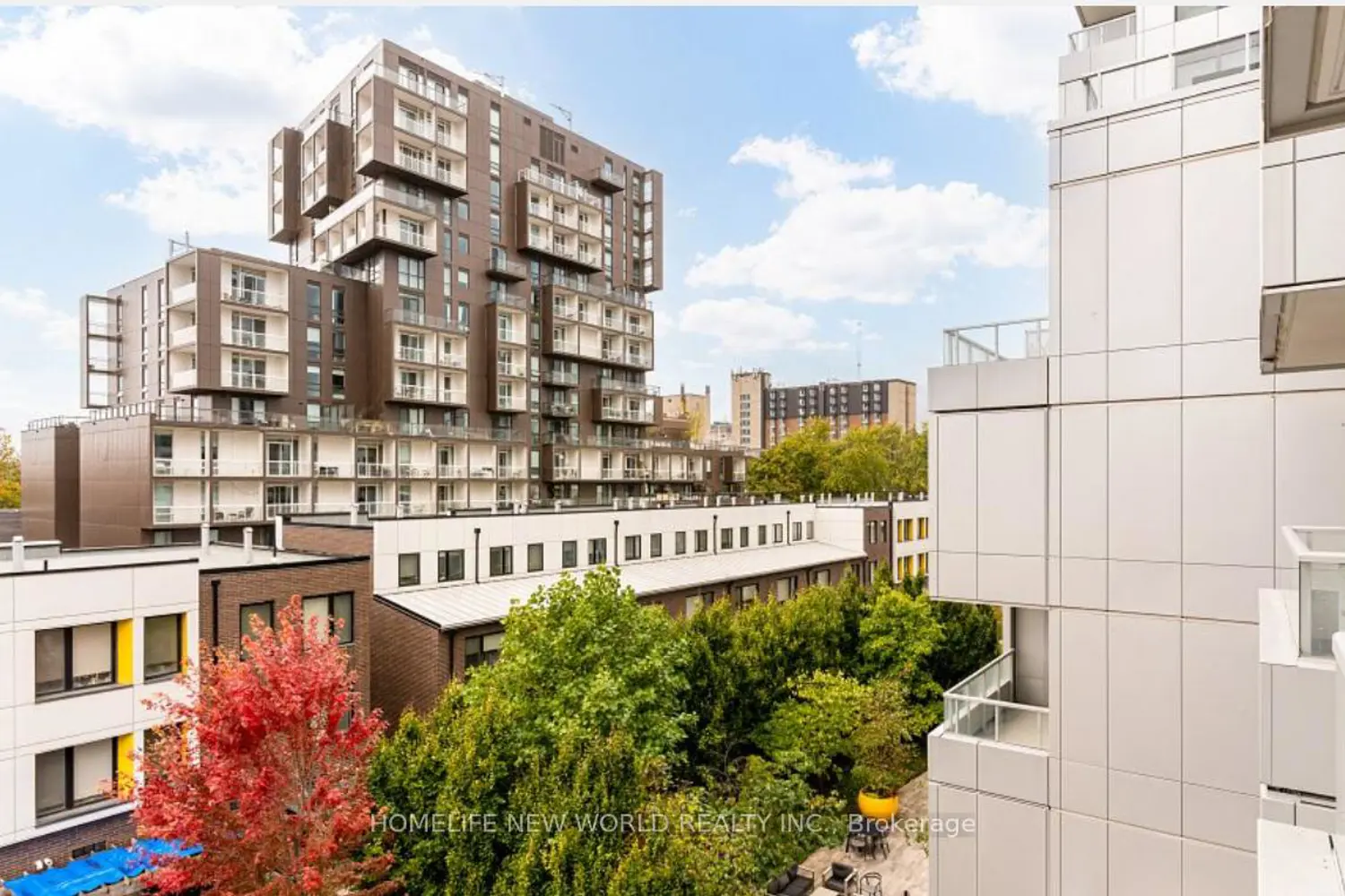 38 Cameron Street 423