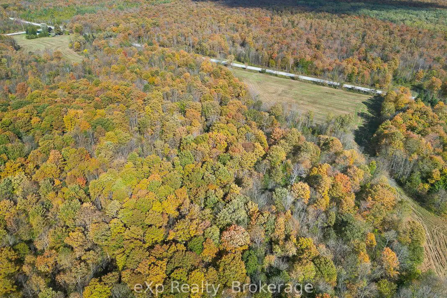 Additional image 19 of 179422 Grey Road 17